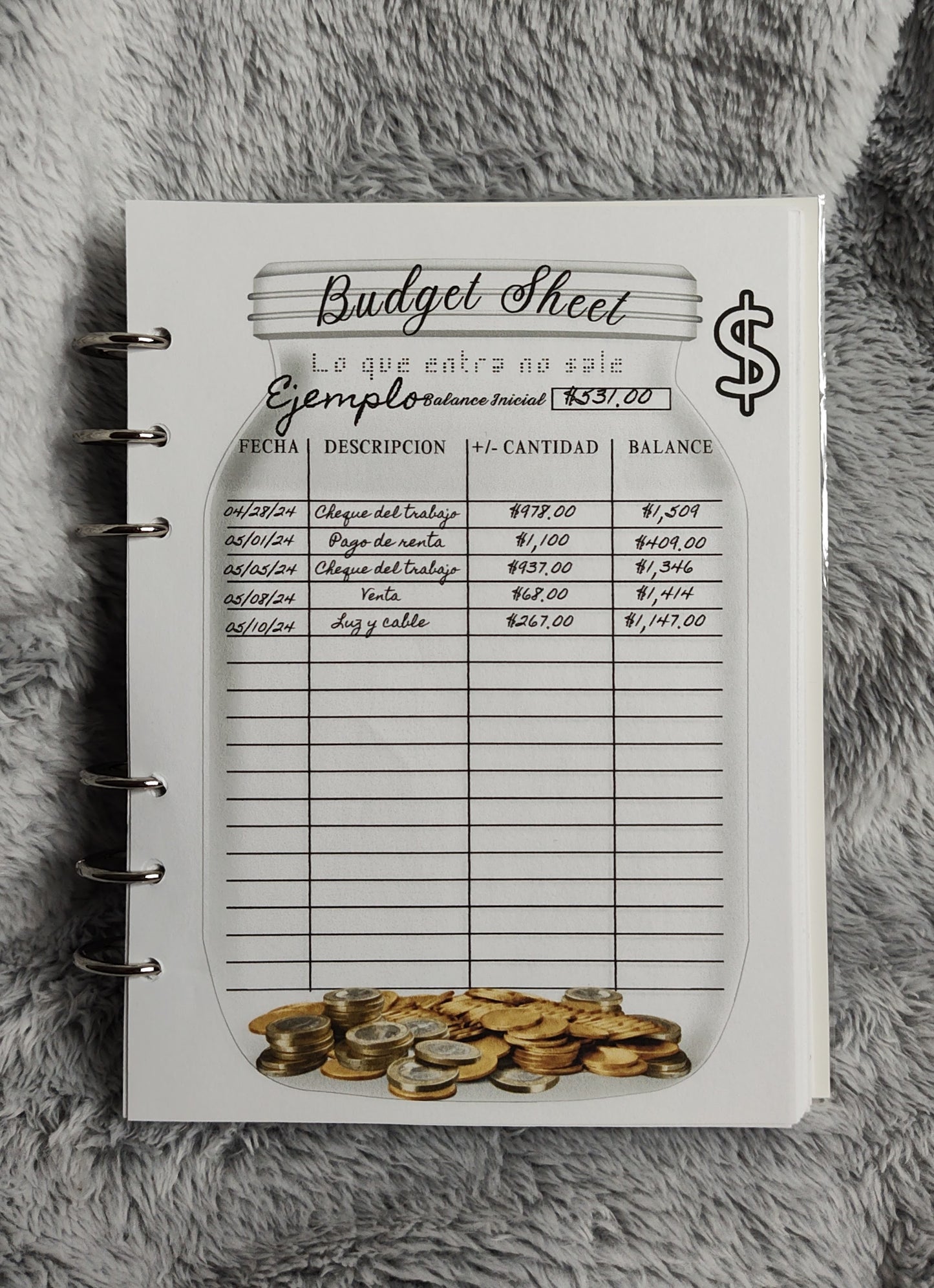 Budget Planner - Tapa Blanda